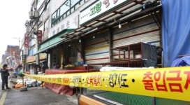 수도권이 뚫렸다… 성남 모란시장 토종닭 AI 검출