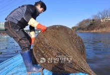 농어촌공사 수질개선 헛물