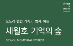 오드리 헵번 아들 션 헵번, 팽목항 인근에 세월호 기억의 숲 조성