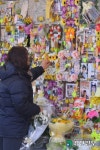 [경인포토]세월호 1주년 안산 하늘공원 찾은 유가족