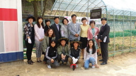 군포 능내초 학교 텃밭 32개 분양