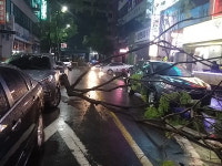 [포토]강풍의 위력
