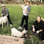 삼시세끼 정선편2 이서진, 어촌편 차승원 견제 고군분투 기대