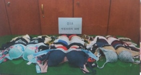 성남수정署, 주택가 여성 속옷 상습 절도 50대 구속