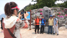 [다큐3일]엄마의 꽃섬, 여수 하화도의 72시간