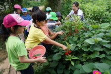 텃밭체험 ‘동심 쑥쑥’… 선학동주민센터, 20명 대상 진행