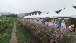 300년史 시흥 간척… 한걸음 두걸음 자긍심의 땅을 밟다