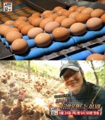 '서민갑부' 달걀로 연간 15억 버는 갑부 