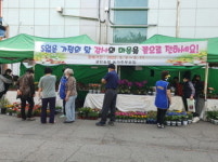 “마장호수에서 꽃 사시오~”… 파주 마장호수에 농산물 판매장 개설