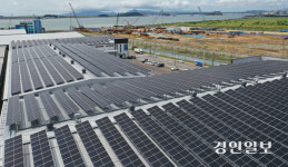 법원 불허에도… 땅값 싼 강화도, 태양광 허가 신청 폭주