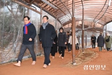 하남시,감일문화공원·위례순라공원에 황톳길 개장