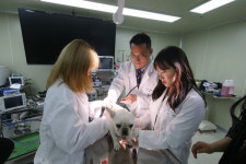 ‘반려동물보건·소방안전관리과’… 실리 중심 취업 문 넓힌 서정대