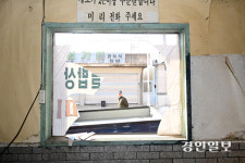 [화보] 발칵 뒤집힌 포천 노곡리