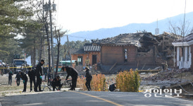 [화보] 발칵 뒤집힌 포천 노곡리