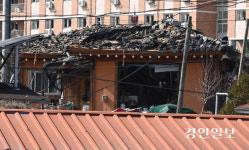 [화보] 발칵 뒤집힌 포천 노곡리