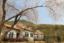 용문산 자락 끝, 휴식이 가득한 곳 ‘쉬자파크’