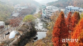 윤경숙 안양시의원, “안양예술공원 활성화 위해 빛의 거리 조성”