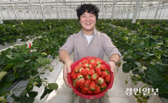 [아임 프롬 인천·(47)] 농업으로 승부하는 간석동 태권소년 김승한입니다