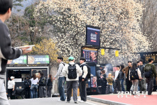 [화보] 가천대 봄축제 피크닉