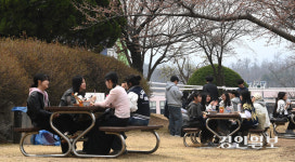 [화보] 가천대 봄축제 피크닉