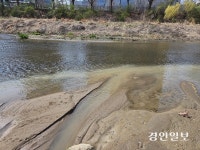 윤해동 안양시의원, “과천 지식정보타운 공사로 학의천에 토사 유입” 지적