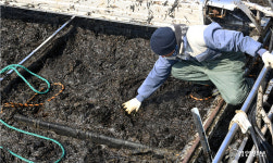90년생 젊은 삼촌 기른 김… 봄가을도 빼곡한 수확