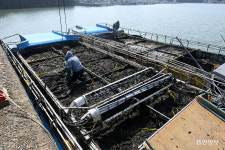 90년생 젊은 삼촌 기른 김… 봄가을도 빼곡한 수확