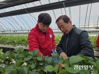 딸기 농사 꿈꾸는 청년들, ‘농협청년농부사관학교’ 모였다