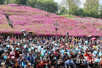 군포 철쭉축제