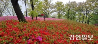 파주 월롱산 철쭉동산, ‘가정의 달’ 나들이 코스 제격