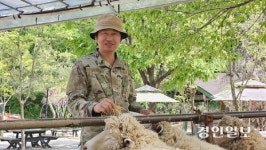 [인터뷰] 양춘이 실물 키우는 ‘양평 양떼목장’ 오어세 대표