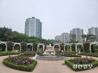 고인돌공원서 처음 열리는 ‘오! 해피 장미빛축제’ 미리 가보니..