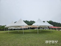 고인돌공원서 처음 열리는 ‘오! 해피 장미빛축제’ 미리 가보니..