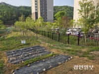 행복주택 인근에 ‘몰래 농사’… 지자체·LH, 행정처분 권한 없어 난제