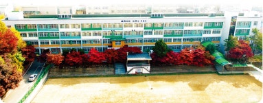 과학고 되면 체육특기자 한 해 5명뿐?… 부천고 운동부 위기 “제도 개선 필요”