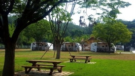 가볼만한 신록의 캠핑장… 조용해진 접경지 파주 ‘힐링 타임’