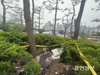 왕복 9차로 사이 ‘교통섬’에서 숨진 그, 도심 속 누구도 몰랐다