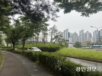 왕복 9차로 사이 ‘교통섬’에서 숨진 그, 도심 속 누구도 몰랐다
