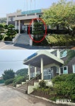 사라진 40살 마을나무, 리조트로… 옹진군 면사무소·이장 묵인