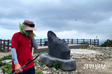 [포토] 계양산 정상 점령한 러브버그떼