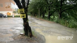 [현장르포] 후진하던 차량 ‘풍덩’… 수원 황구지천 제방길