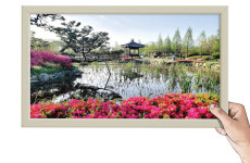 [新팔도핫플레이스] 충청남도 제1호 지방정원 ‘아산 신정호’