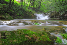 [新팔도핫플레이스] 자연 속 테마파크 ‘곡성 도림사 계곡’
