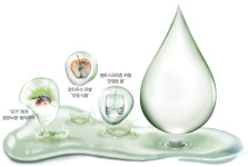 기록적 폭우 속 물 만난 ‘세’ 균들… 주의해야 할 세가지 감염병 루트