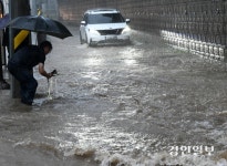 [화보] 호우주의보 속 나타난 의인