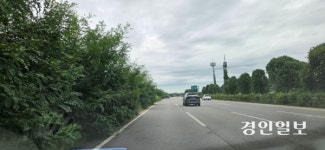 [포토] 자유로 파주 구간 중앙분리대 우거진 잡목… 운전자 시야 가려
