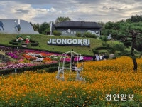 연천군 선사유적지 가을 정취 물씬… 17~26일 ‘국화축제’