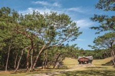 울긋불긋 단풍 즐겨볼까… 고양서 느끼는 ‘가을낭만’