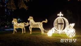 눈부신 동화 속으로… 구리 장자호수공원 ‘빛축제’