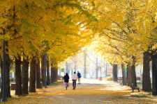 여주 강천섬 966면 주차장 확보… 사계절 자연휴양지 기반 마련